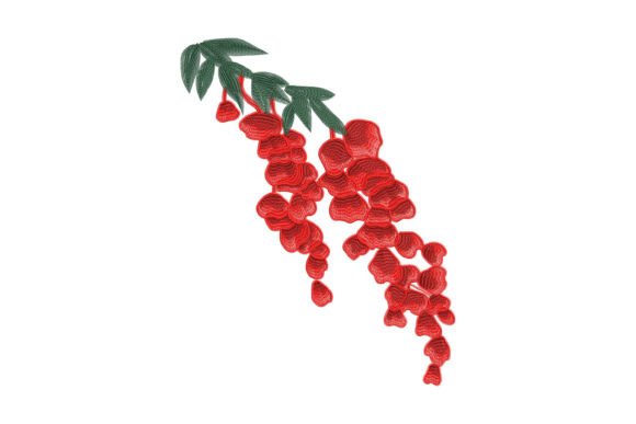 Hanging Flame Petals: A Designer’s Apparel Review