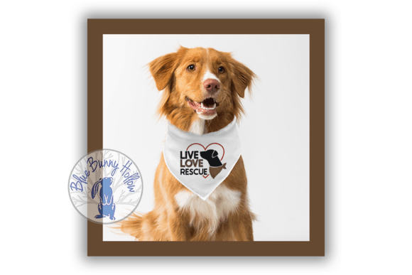 Live Love Rescue: An Embroidery Design Review